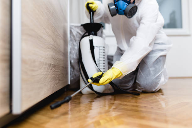 Best Emergency Pest Control  in Willow, AK
