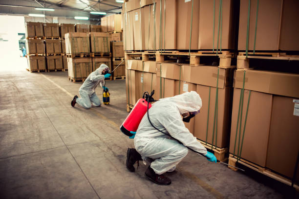 Best Best Pest Control Companies  in Willow, AK