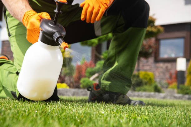 Best Wildlife Control Services  in Willow, AK