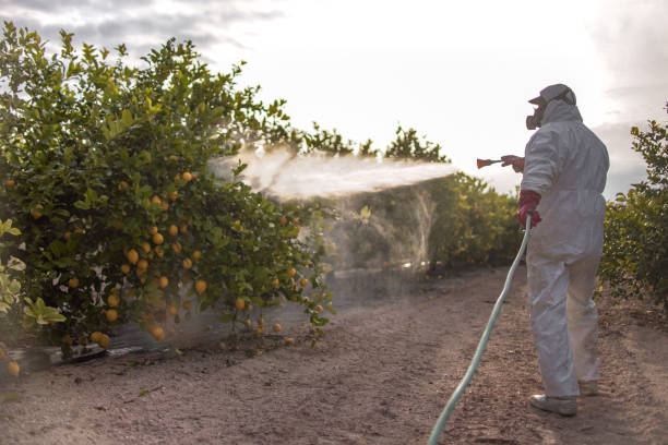 Willow, AK Pest Control Company